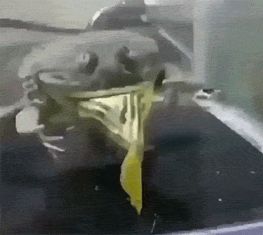 ʨֱ۱ˮţ̴ؿζɲʣĽ 