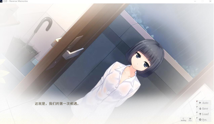 ,steam,galgame
