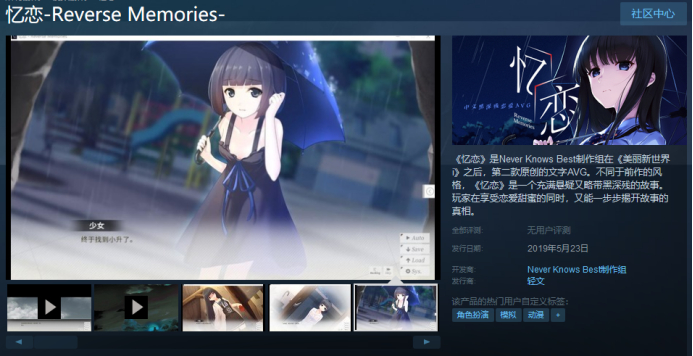 ,steam,galgame
