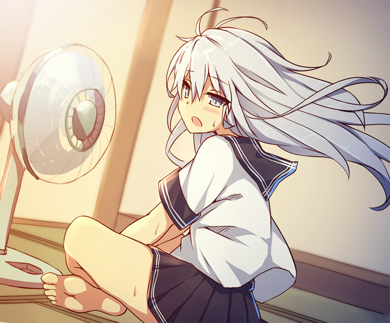 id=70004909.png