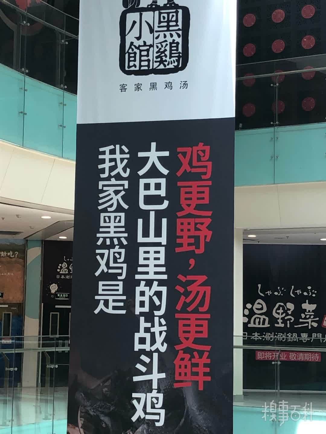 ֮ǰѵëͻȻշ