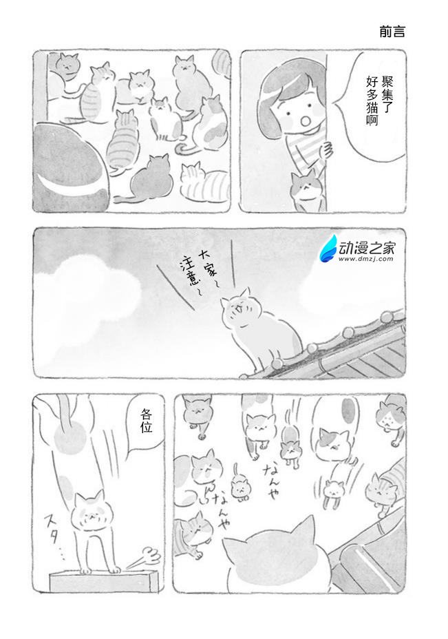 01.jpg