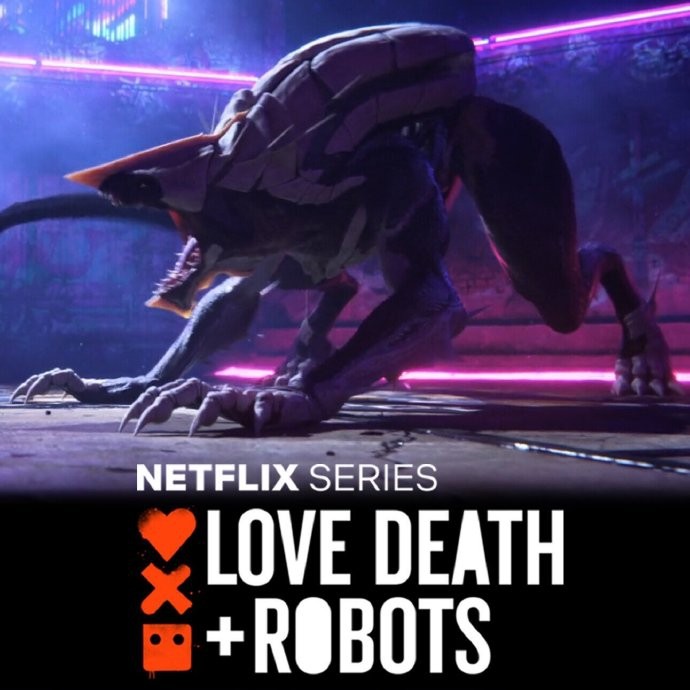 Netflixͻˡڶȷ