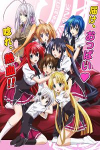 High School DxD