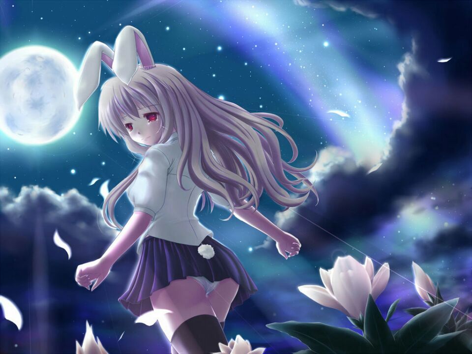 3A950B97239B4B6EAFBBFCA6C6D57E3C.jpg