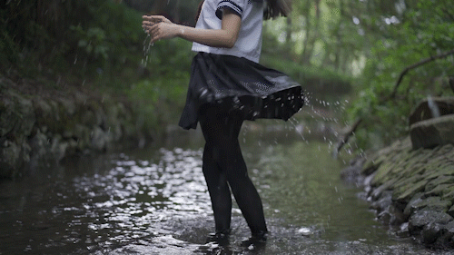 SwFdfbQt1mm3Rhv8.gif