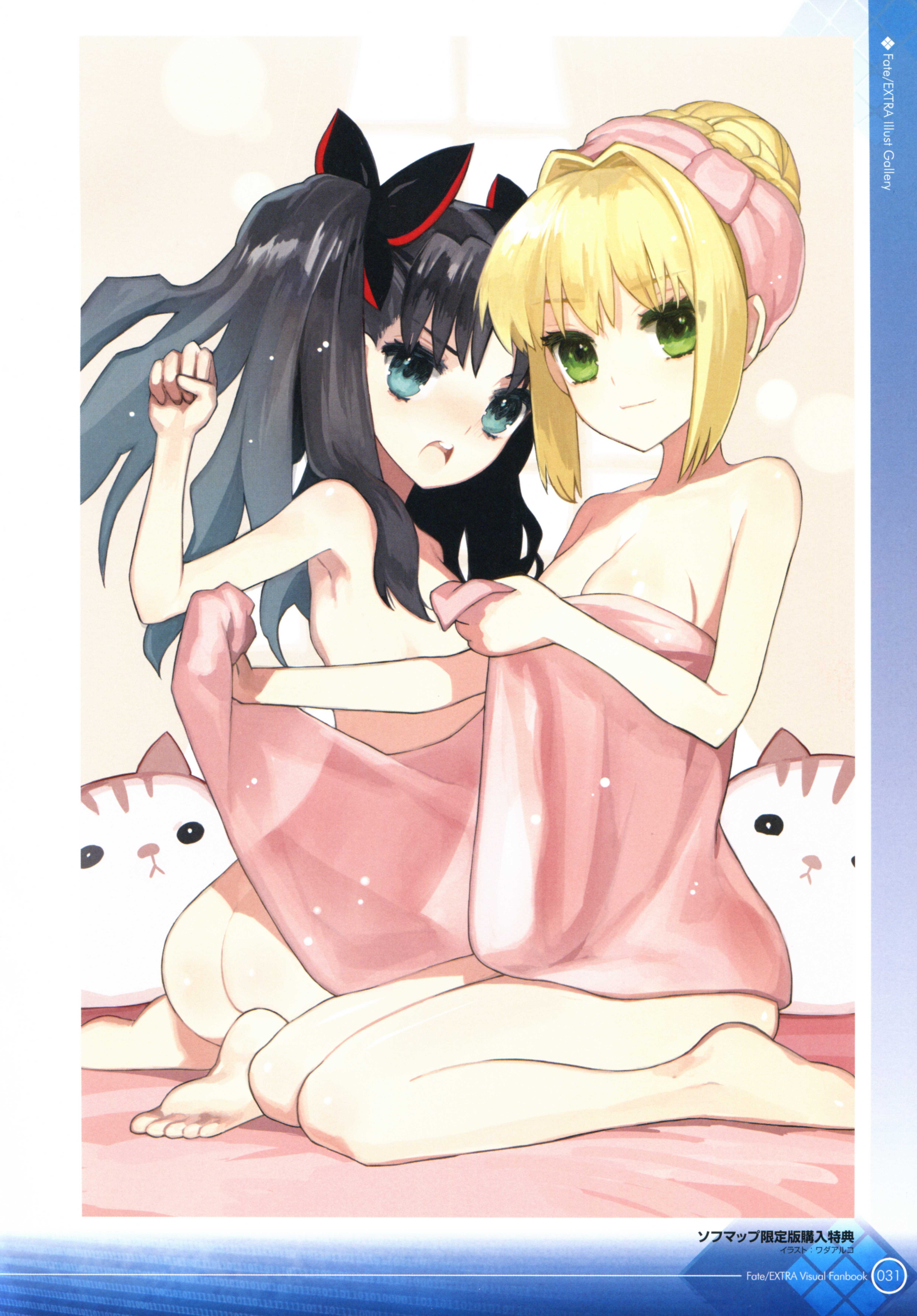 Fate.Extra.VF_031.jpg