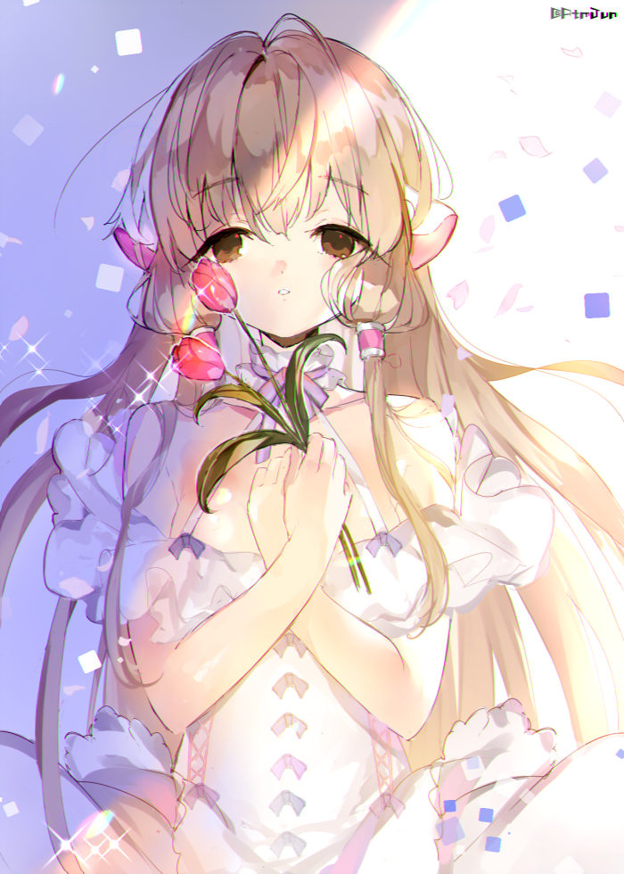id=64552355.png