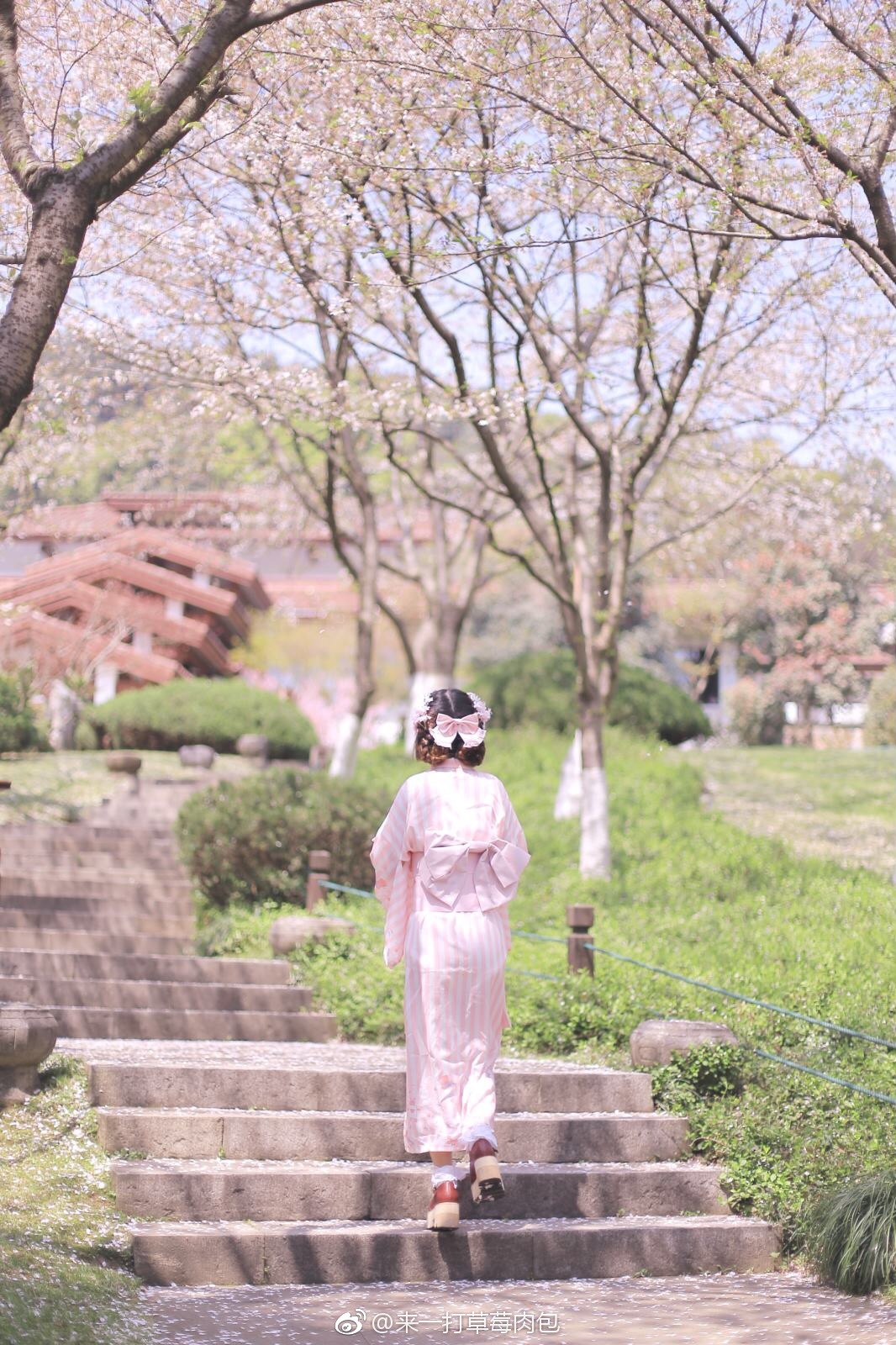 Ե��������������