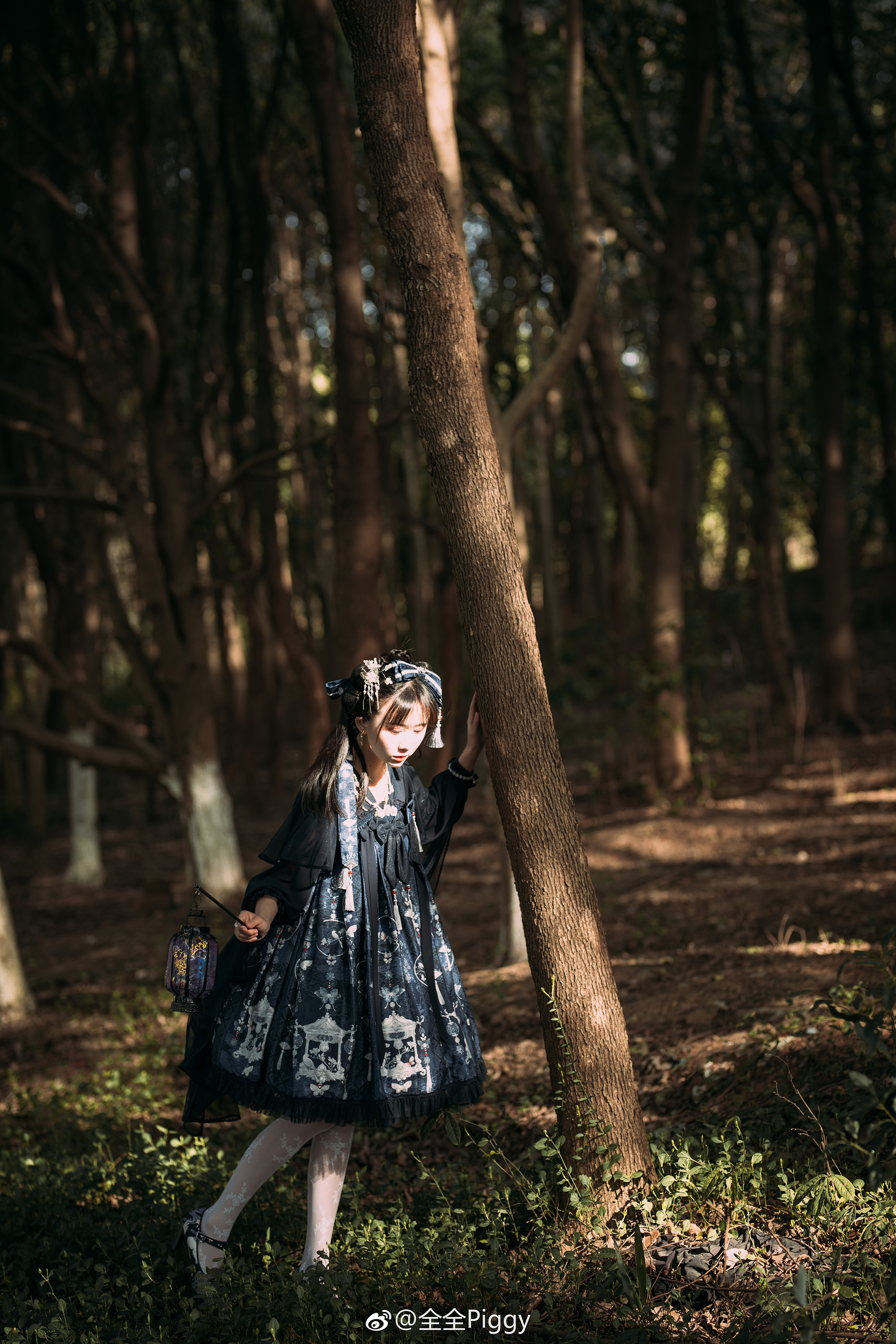 �����ٵ���͡�