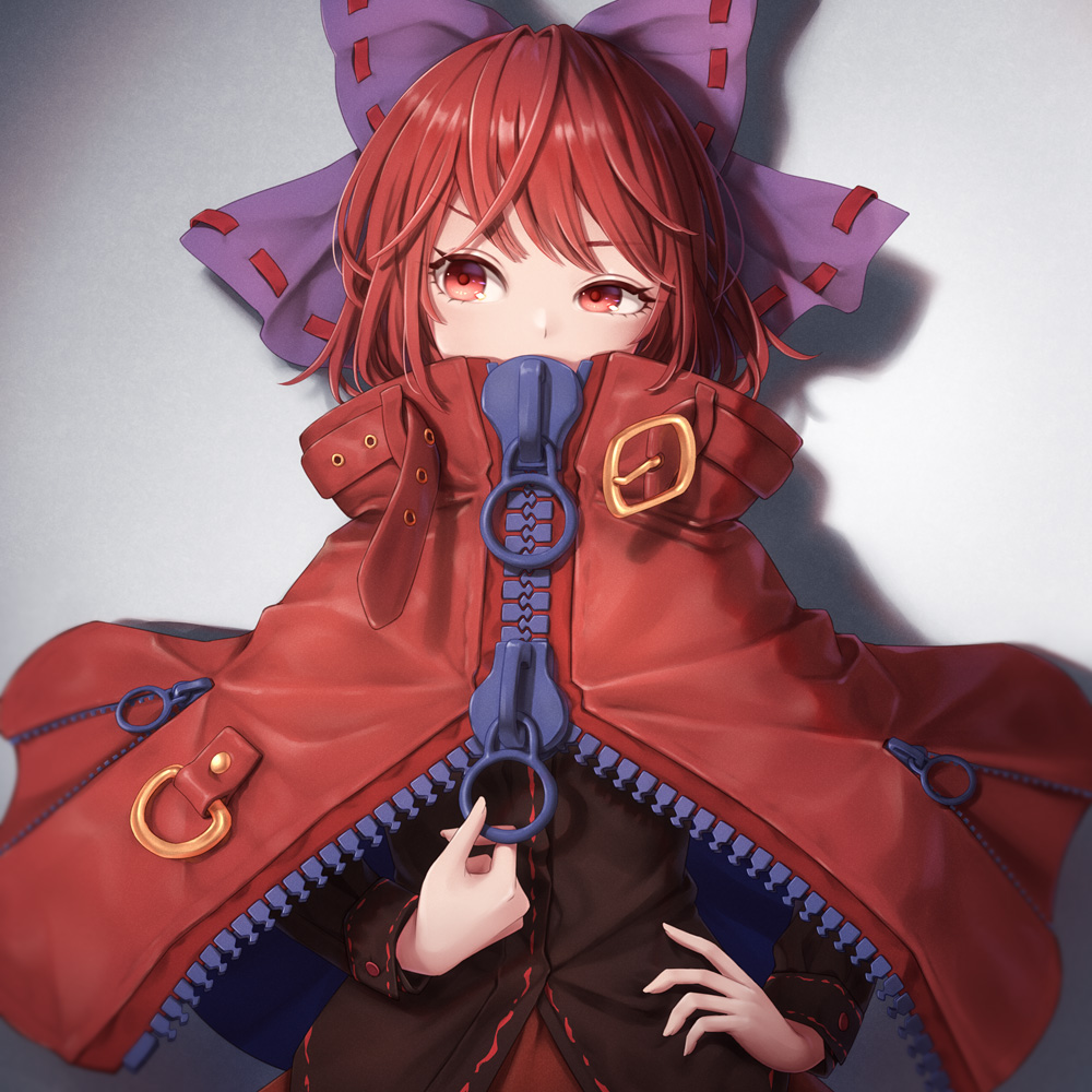 Pվѡpixiv4.29