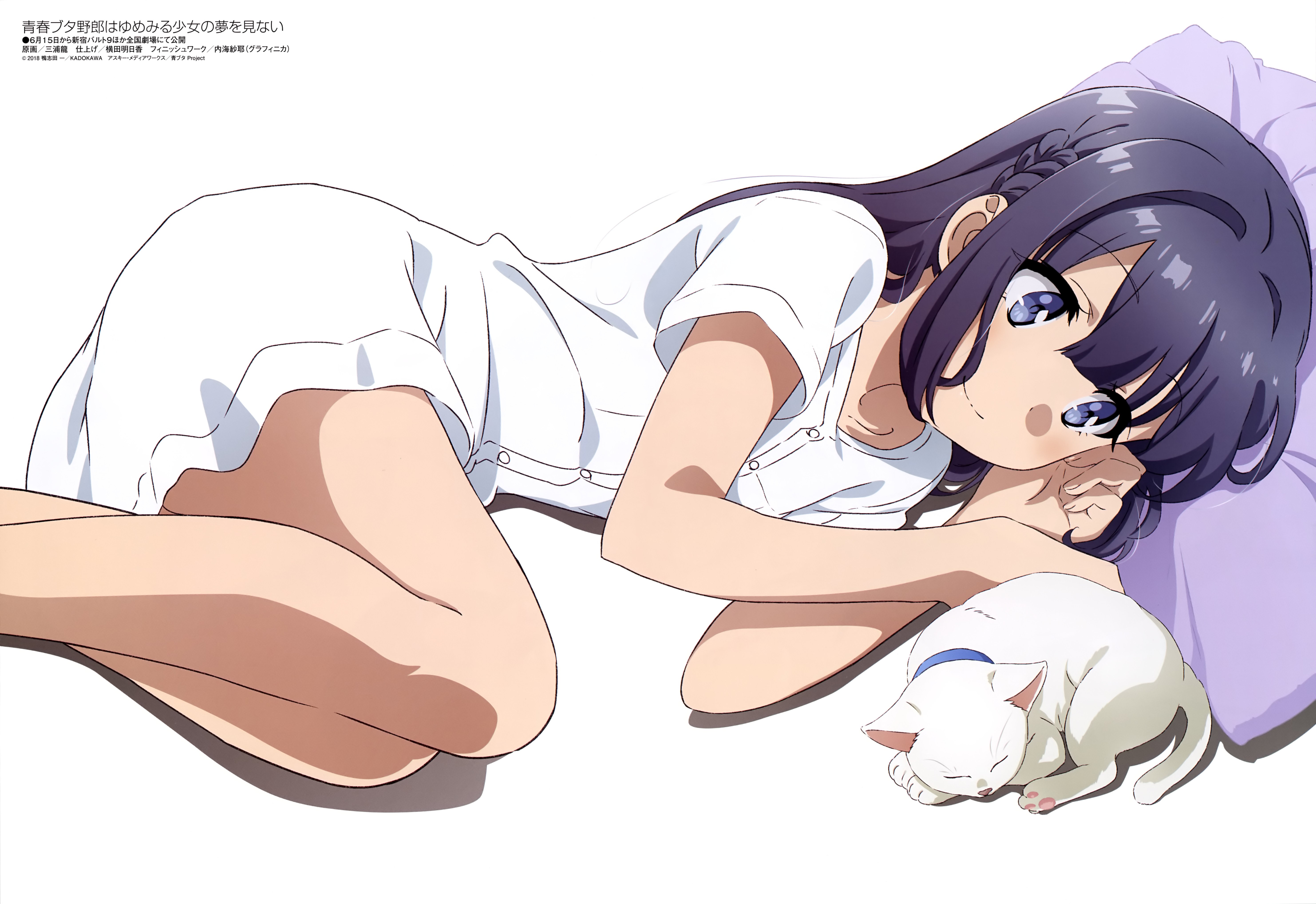 Megami Magazine #228 2019-06