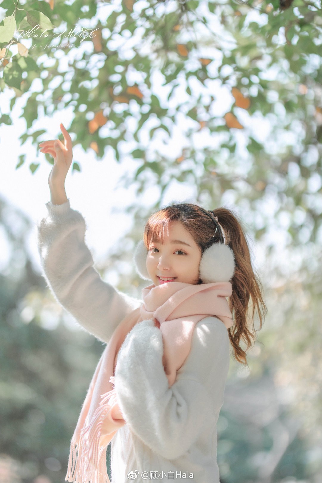 һӳ졣