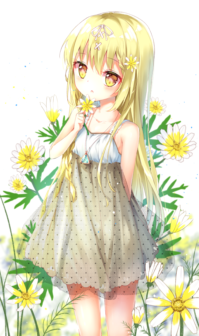 Pվʦ20190518