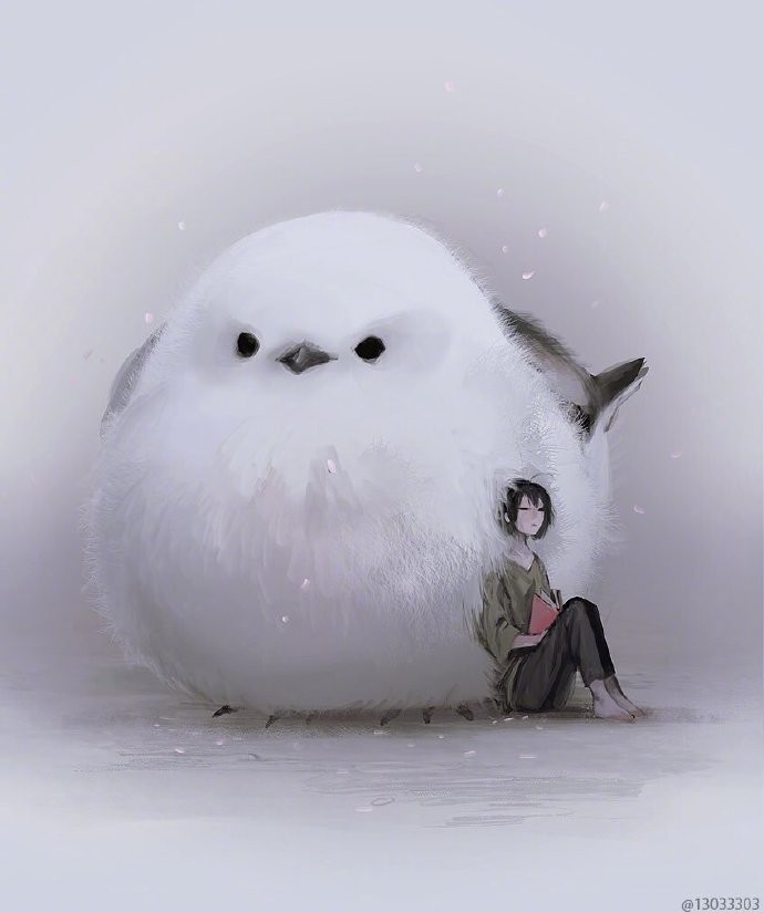 ձʦξñµľ޴