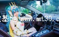 ֮