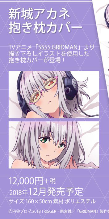 ,,JK,ģ,,SSSS.GRIDMAN,ְ