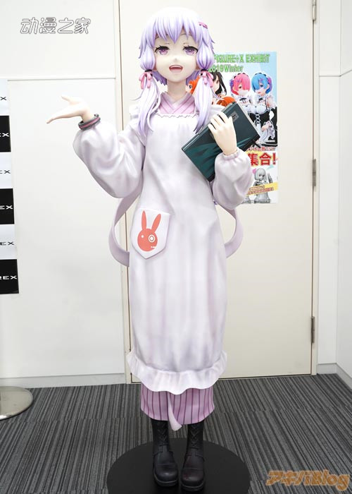 230.jpg
