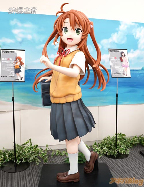 224.jpg