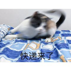 TIMͼƬ20190222150240.jpg