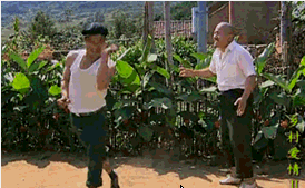 timg (2).gif