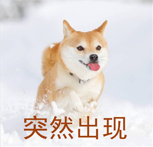 TIMͼƬ20190226150542.jpg