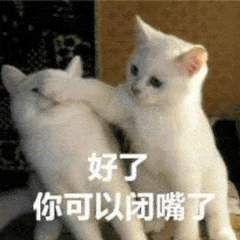 TIMͼƬ20190301150838.gif