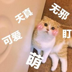 TIMͼƬ20190301150910.jpg