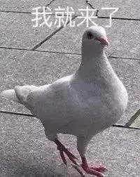 TIMͼƬ20190304151430.png