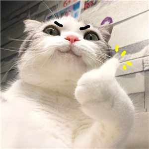 TIMͼƬ20190305175037.jpg
