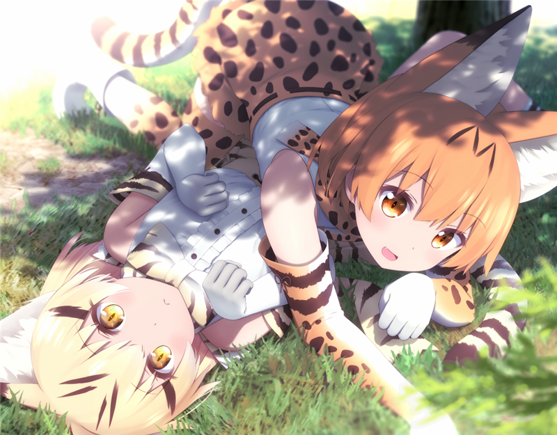 id=61866829.png