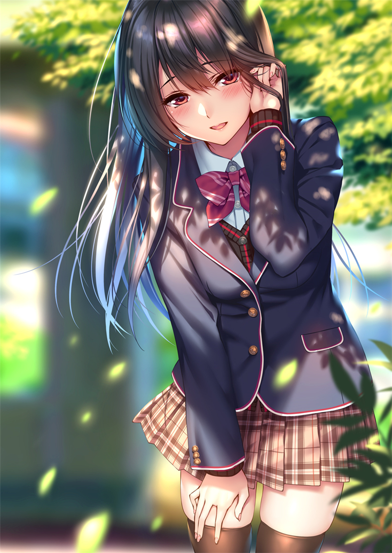 id=72279247.jpg