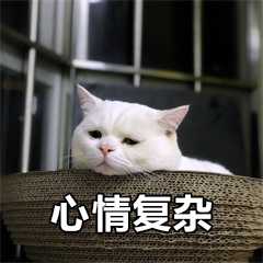TIMͼƬ20190312171454.jpg