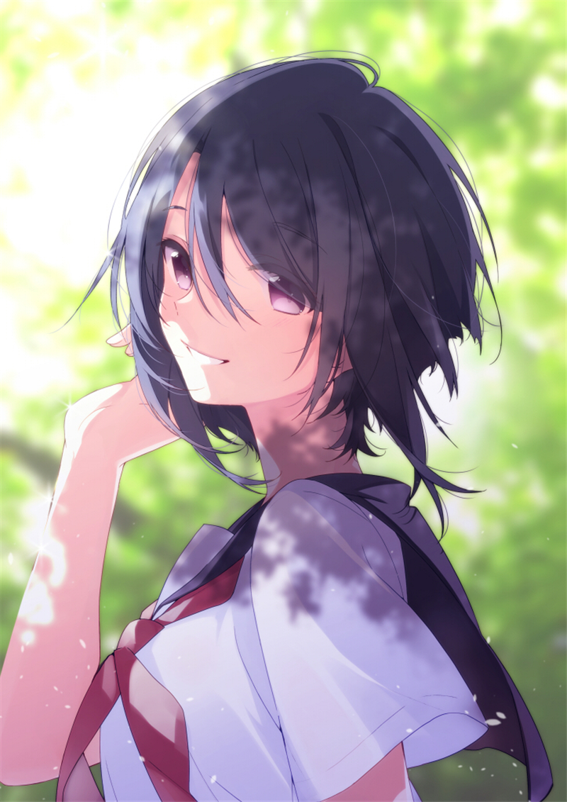 id=64135217.jpg