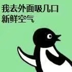 20190315612085_eXwFEy.jpg