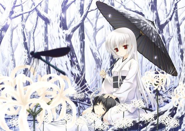 ʮѪ趨ëӲ˵Ů