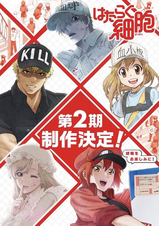 2018걬ع飬5ڶ¼