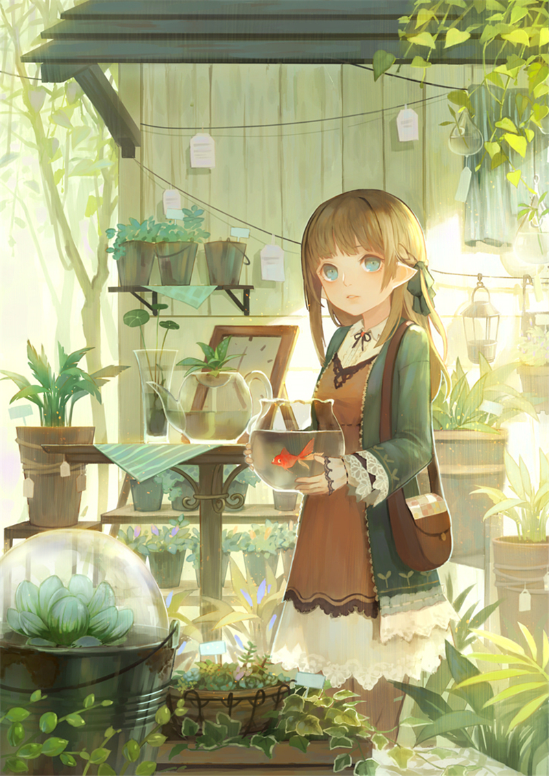 id=64447084.jpg