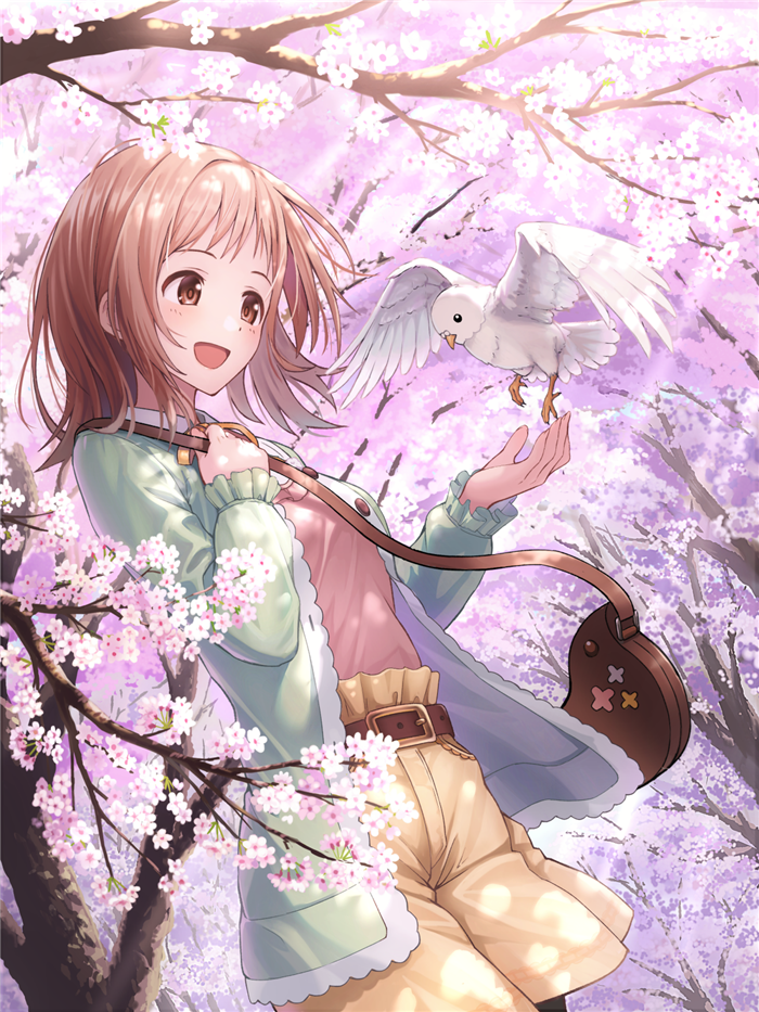 id=73645669.png