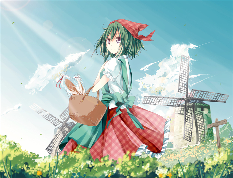 id=18420246.jpg