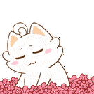 259b6bb7361134831cd1fdd37937147b.gif