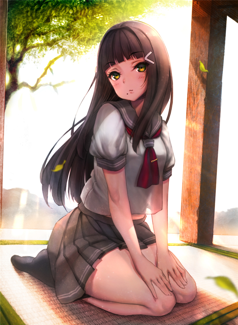 id=58191919.jpg