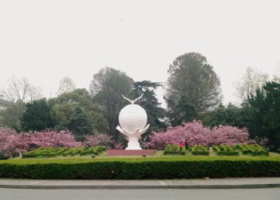 QQͼ20190415115136.png