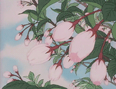 timg.gif