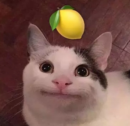042e3d3c16.png