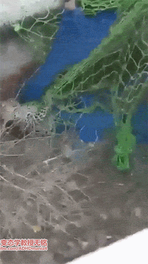 㱪ԿؿζɲʣĽ 