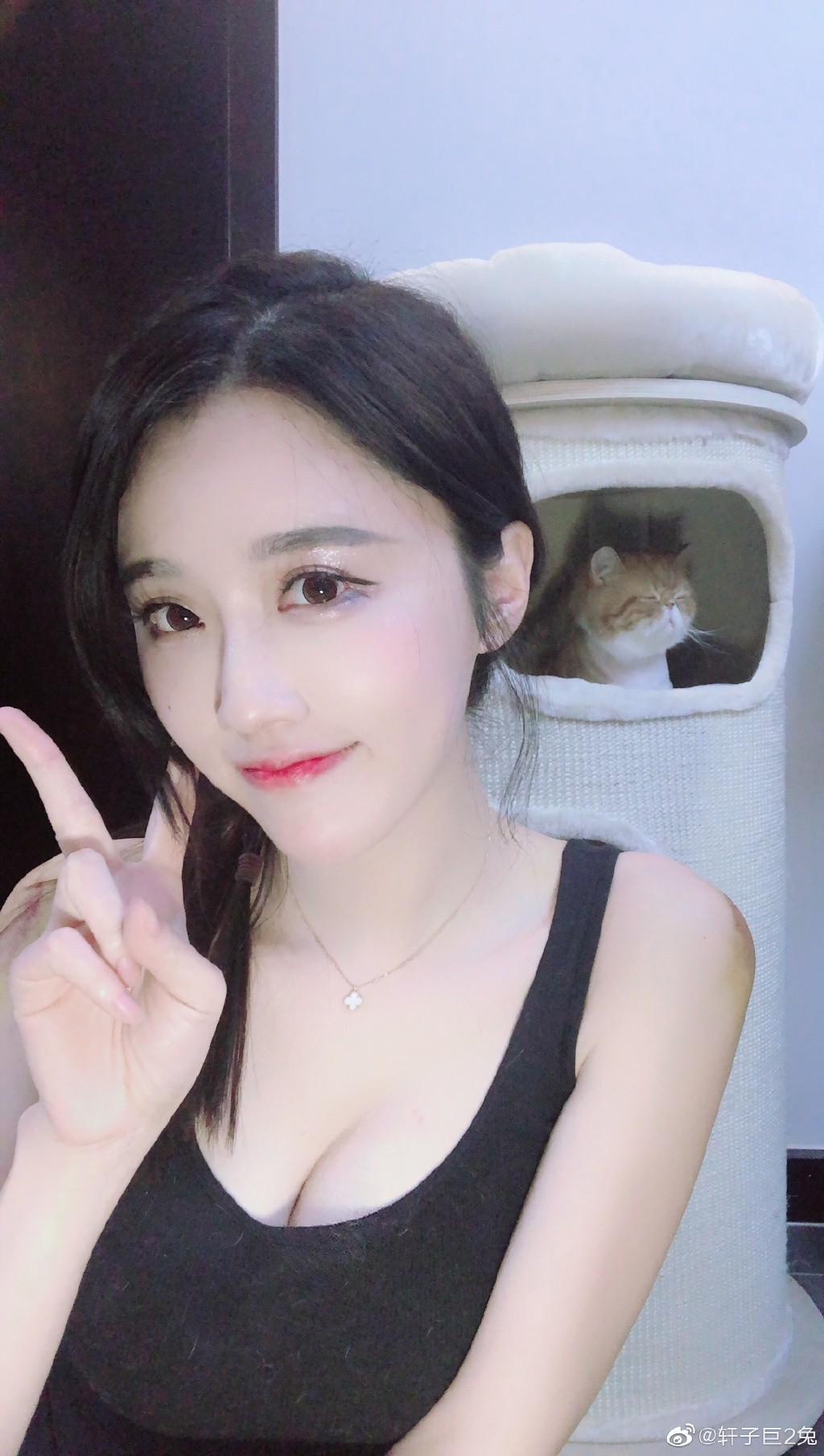 硾5.8ձ