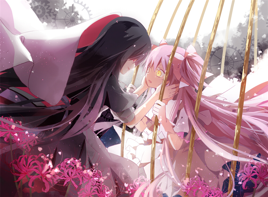 id=41545073.jpg