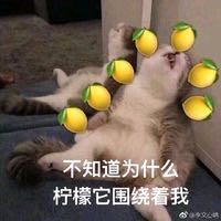 ΢ͼƬ_20190511131856.jpg