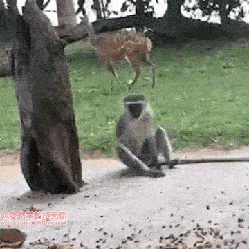̫ͷСؿζɲʣĽ 